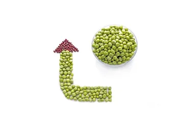 Eat more mung beans during weight loss? What are the precautions?2