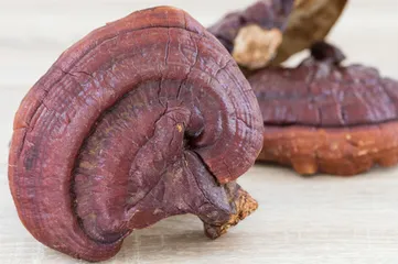 Eight low-calorie and low-fat snacks are not afraid of getting fat at night2