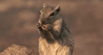 How many nuts can I eat every day to lose weight?2