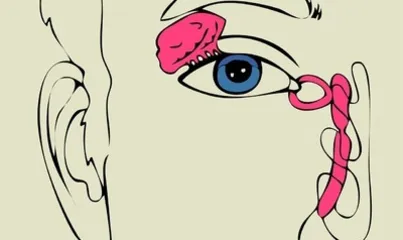 Experts Find the Latest "Fat-Burning Magic" Spray Your Nose to Lose 30 Pounds 3