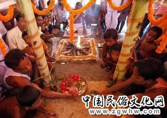 Indian villages have a big wedding for frogs