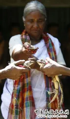 Indian villages have a big wedding for frogs2
