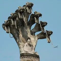 Nag-Panchami, Hindu traditional holiday snake