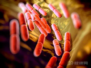 Enhance immunity and regulate intestinal flora? Lactic acid bacteria drinks are not so "divine"!2