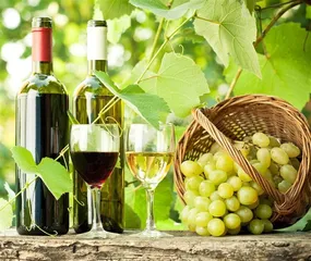 Wine to lose weight, let
