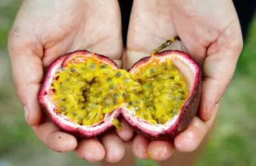 During weight loss, you can have a cup of honey passion fruit2