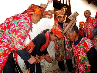 The characteristics and process of the Golden Su-Tai clan