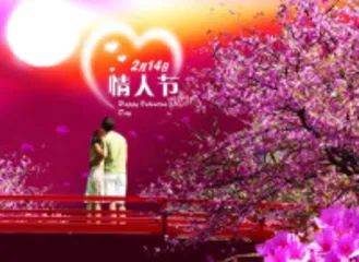 Valentine's Day (#039;s Day)