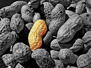 Changing these eating habits can easily lose weight without exercising2