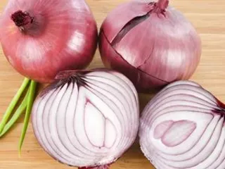Eating onions can you lose weight? Onion Weight Loss Recipe0