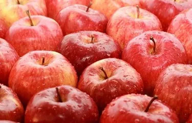 Can Apple