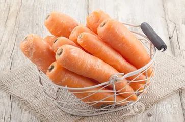 Carrot slimming meals easily shed fat