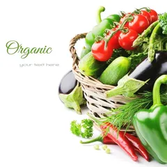Vegetable diet fast and good recipes for weight loss1