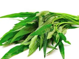 Water spinach 94 is crazy! Good effect of lowering blood fat and relaxing bowel movement0