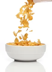 Can fruit corn be eaten as a staple food?2