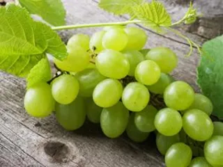 What fruits to eat in winter to lose weight fastest0