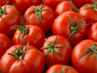 Ultra-effective tomato weight loss method for weight loss and beauty