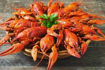 During weight loss, can I eat some shrimp?