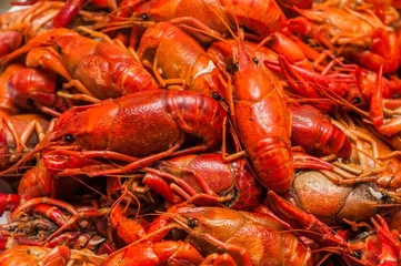During weight loss, can I eat some shrimp?2