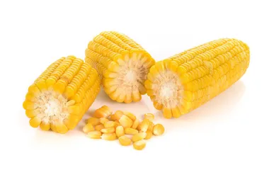 Can you rely on corn for breakfast to overcome hunger?2