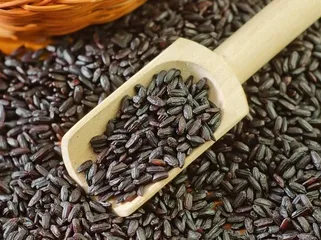Can you lose weight by eating coarse grains in the morning?