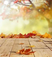 Is autumn a good season to lose weight and detoxify?