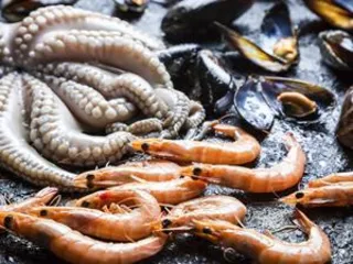 A bite of squid is equal to 40 kilograms of fat meat?