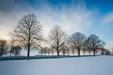 How to lose weight in this winter season? What are the methods?