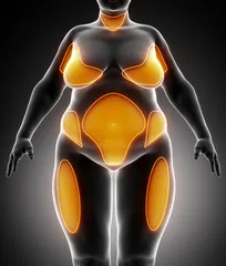 Fat all over the body is a disease, but fat belly is the cause! To lose your waist, you need 2 "secrets"